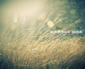 Summer's &hellip;