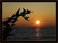 Dobro ti jutro&hellip;