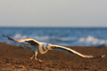 come fly with &hellip;