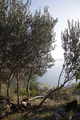 pogled.....