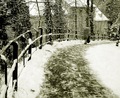 snowy rollerco&hellip;