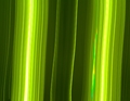 green light tr&hellip;