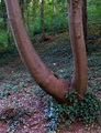 prirodna porno&hellip;