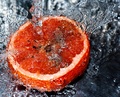 rotten orange &hellip;