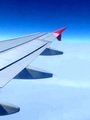 Fly Me to the &hellip;