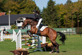 Trofej Bana Jo&hellip;