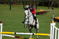 TROFEJ "B&hellip;