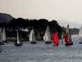 Regata
