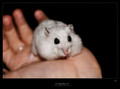 mucix r.i.p.