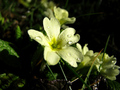 Pogled prema s&hellip;