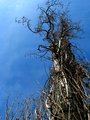 Reaching for s&hellip;