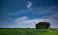 Green & bl&hellip;