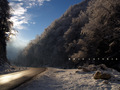 Driving Home F&hellip;
