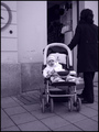 mama gleda tor&hellip;