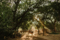 Light in Myanm&hellip;