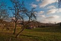 Božić bez snij&hellip;