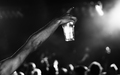 koncert