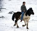 konjanik današ&hellip;