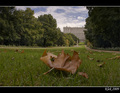 Madrid - Kralj&hellip;