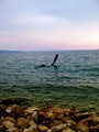 The place I lo&hellip;