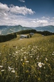 Austrija plani&hellip;