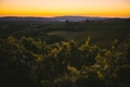 Đakovačko vino&hellip;