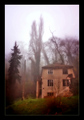 just one misty&hellip;