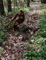 promejna smije&hellip;