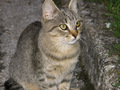 Portrait jedno&hellip;