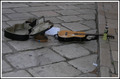Rock-pavement.&hellip;