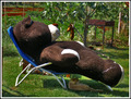  Teddy-bear fr&hellip;