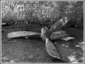 bombarder-prop&hellip;