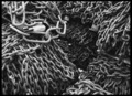 I spaghetti di&hellip;