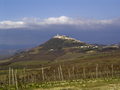 motovun total