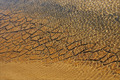Golden Wave