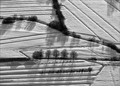 shadows on the&hellip;
