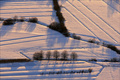 shadows on the&hellip;