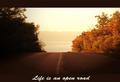Life is an ope&hellip;