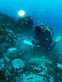 Mljet - Bizant&hellip;