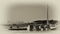jarboli i jarb&hellip;