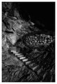 stairway to he&hellip;