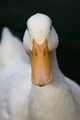 r U talkin&hellip;