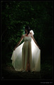 Night Fairies &hellip;