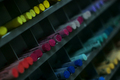 True colors ar&hellip;