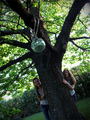 ...wonderland.&hellip;