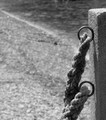 zavezana fotog&hellip;