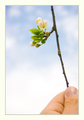 "Hand of &hellip;