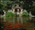 ARBORETUM TRST&hellip;