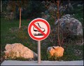A SMIJE LI SE &hellip;