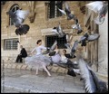 BALERINA ALEKS&hellip;